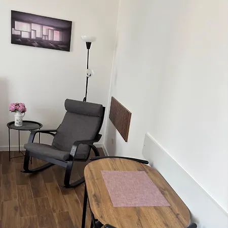 Apartment Strogi Centar *
